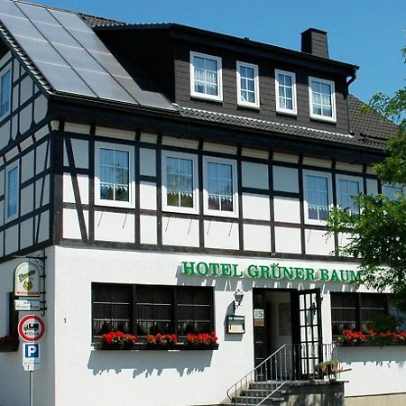 Hotel Gruener Baum Stollberg Εξωτερικό φωτογραφία